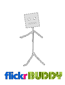 Flickr buddy. Visualize Flickr activity in real time. Buddy icon version.